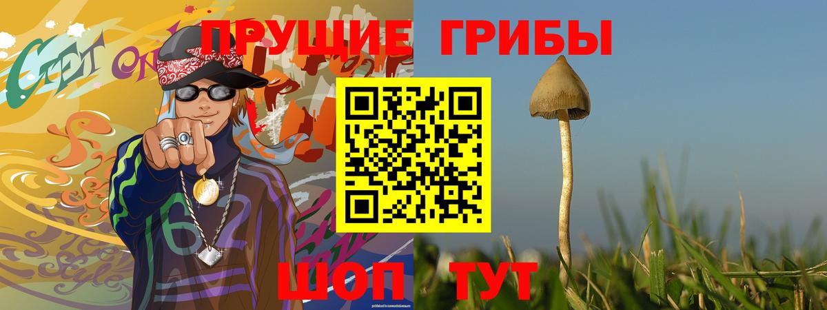 Мытищи  Псилоцибиновые грибы мухоморы  Вход с VPN 
